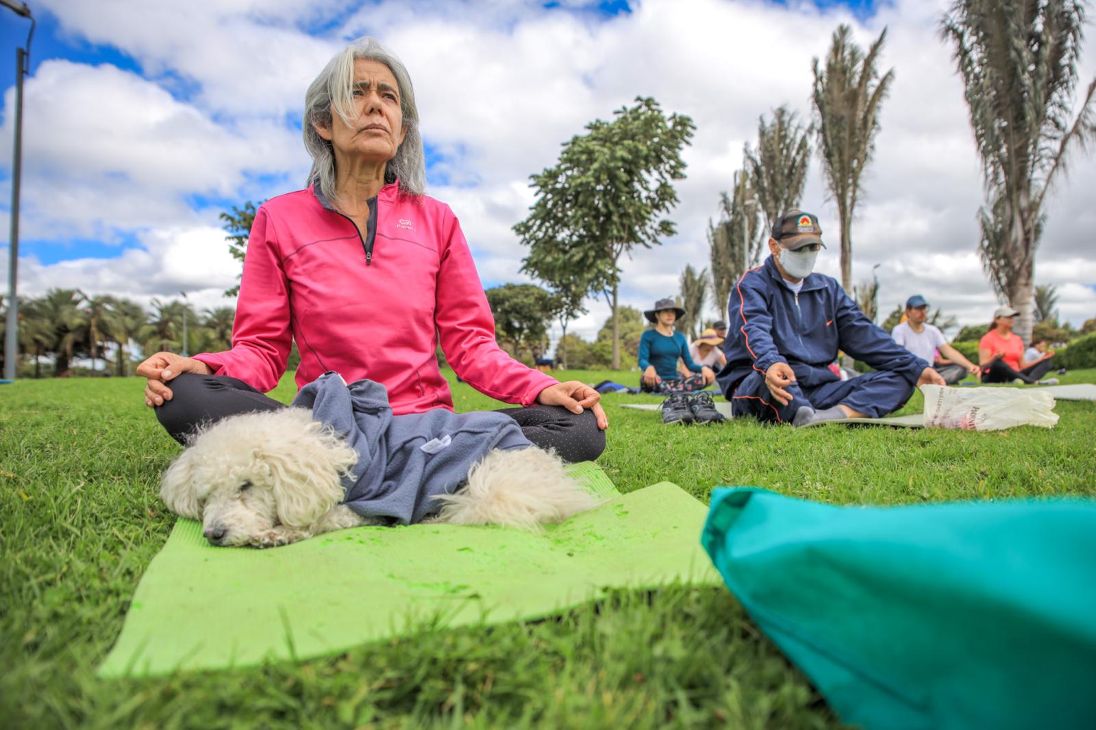 meditacion jardin