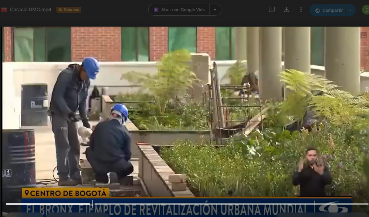 El Bronx, ejemplo de revitalización Urbana 