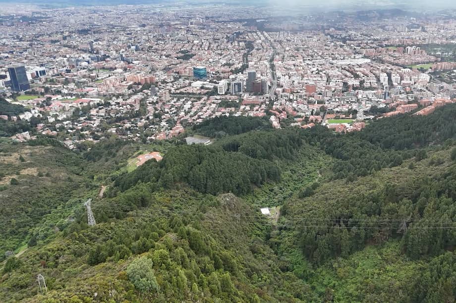 Fotografía zona de interés ecológico en los cerros orientales